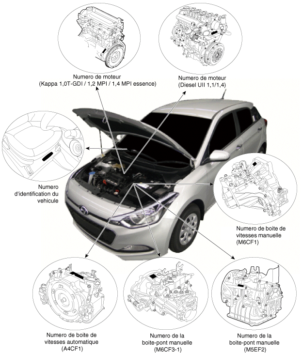 Vin рио. Вин на двигателе Киа Рио 2010. Номер кузова Киа Рио 2. Kia Picanto 2010 VIN номер двигателя. Вин номера Хендай ай 20.